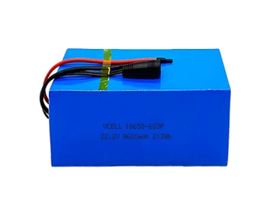 22.2V 9600mAh 6S3P 18650 Rechargeable Li-Ion Battery Pack 