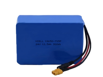 24V 12Ah 7S5P 18650 Rechargeable Lithium Ion Battery Pack With BMS