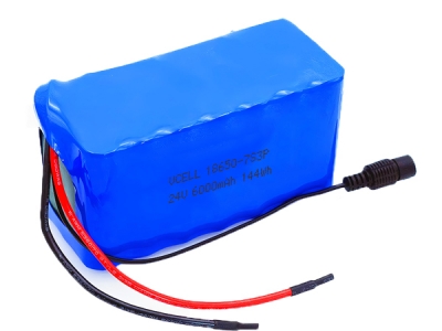 24V 6000mAh 18650 Rechargeable Lithium Ion Battery Pack With BMS