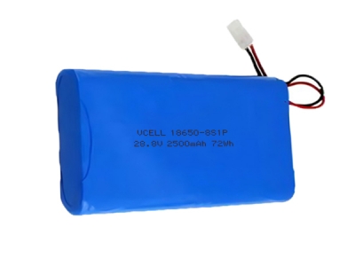 28.8V 2500mAh 18650 Lithium Ion Battery Pack