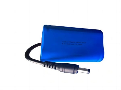 Rechargeable 18650 6.4V 1600mAh Lithium Lifepo4 Battery 
