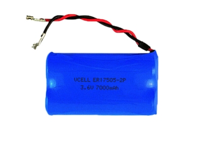 IEC60086-4 Standard ER17505-2P 3.6V 7000mAh Lithium Thionyl Chloride Battery