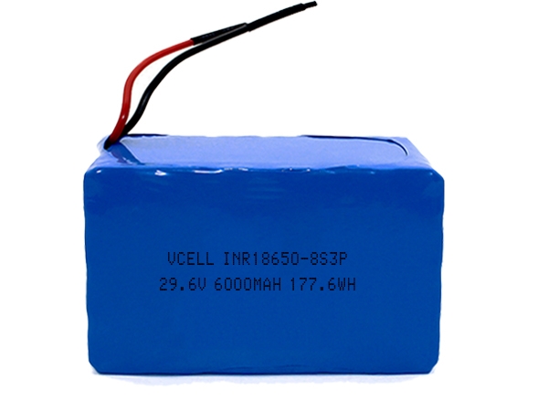 29.6V 6000mAh 8S3P 18650 Rechargeable Lithium Ion Battery